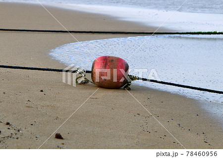A rope with floating buoys on a sandy beach on the Mediterranean coast. Seashore on a sunny day.	 78460956