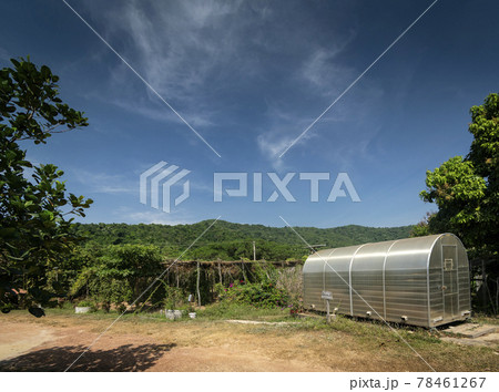 modern spice drying greenhouse room in Kampot pepper farm Cambodia 78461267