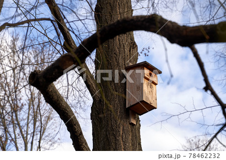 Classic wooden birdhouse on a tree in spring Classic wooden birdhouse on a tree in spring 78462232