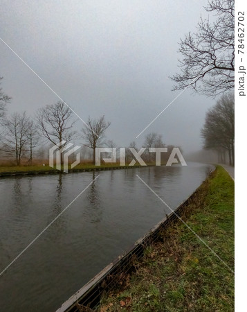 Trees by the river in the morning mist. Silhouette of plants against the background of dawn in 78462702