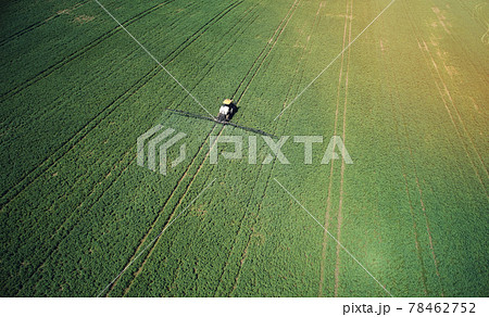 Fertilizing green fields in bright sunny day 78462752