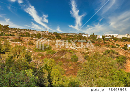 Landscape with gardens and Agios Epiphanios Church. Ayia Napa, Cyprus. Landscape with gardens and Agios Epiphanios Church. Ayia Napa, Cyprus. 78463948