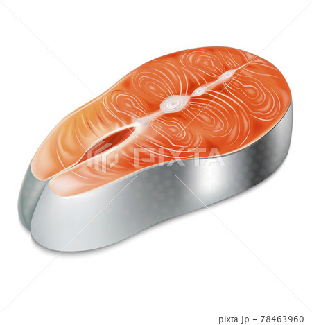 Realistic Detailed 3d Raw Salmon Fillet Slice. Vector 78463960
