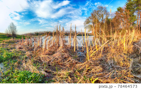 Sunny day on a calm river during early spring 78464573