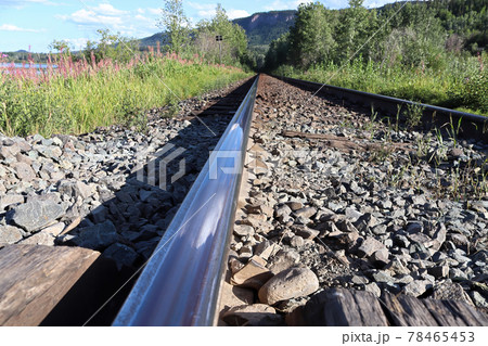 The shiny top view of a rail on a train track The shiny top view of a rail on a train track 78465453