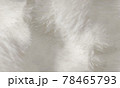 Soft Plush Stuffed Furry White Synthetic Fabric Background 78465793