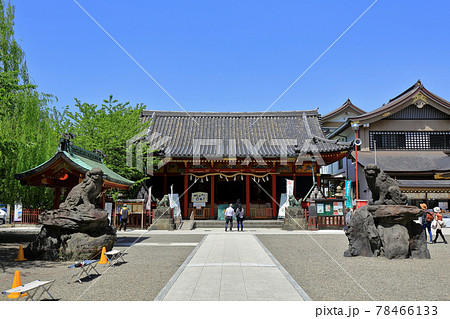 東京　浅草の都市風景　浅草神社 78466133