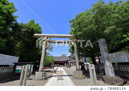 東京　浅草の都市風景　浅草神社の鳥居 78466134