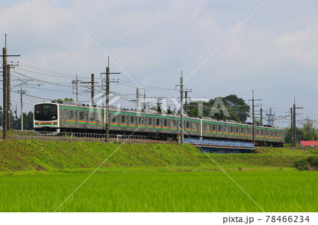 夏の水田と宇都宮線205系8両（元京葉線車両） 78466234