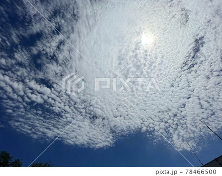 初夏 初夏 78466500