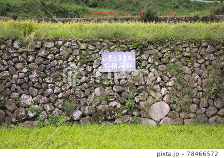 尾木場集落の棚田 尾木場集落の棚田 78466572
