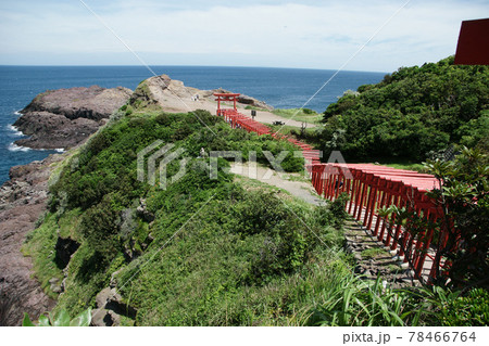 四季の散歩　夏　元乃隅稲成神社 78466764