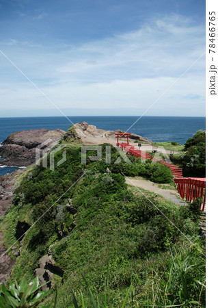 四季の散歩　夏　元乃隅稲成神社 78466765