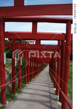 四季の散歩　夏　元乃隅稲成神社 78466769