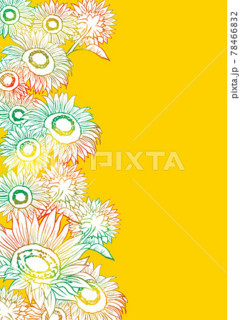 水彩のひまわりの花畑 手描き 線画 ライン 水彩 おしゃれのイラスト素材