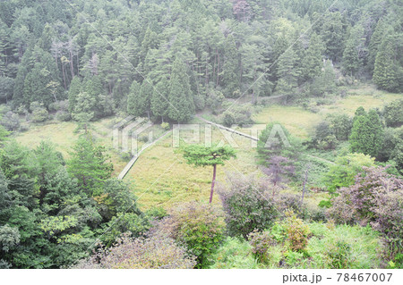 晴れた日の 登山道 <津乃峰山 徳島県> 晴れた日の 登山道 <津乃峰山 徳島県> 78467007