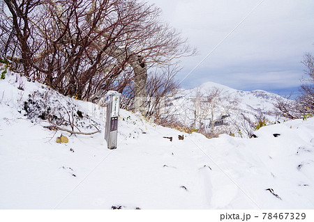 妙高山手前の大倉乗越 妙高山手前の大倉乗越 78467329
