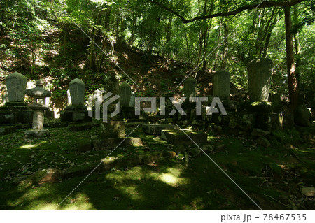 鳥取　四季の散歩　夏　池田家墓 78467535