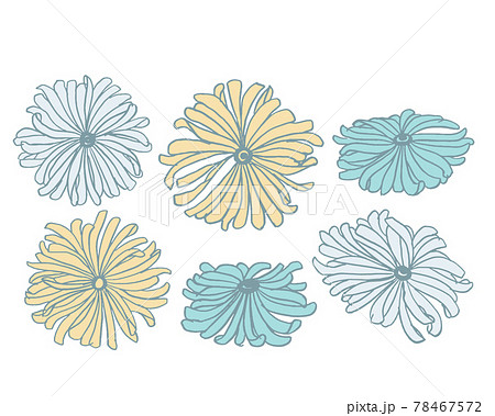 夏カラー手描きガーベラの花線画イラスト のイラスト素材
