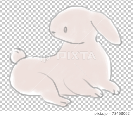 Loose rabbit 78468062