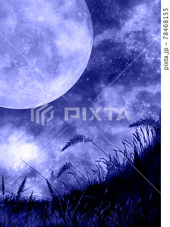 夜の草原に浮かぶ満の青いイラストのイラスト素材