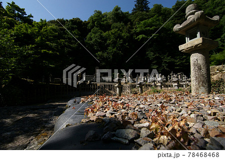 鳥取　四季の散歩　夏　池田家墓所 78468468