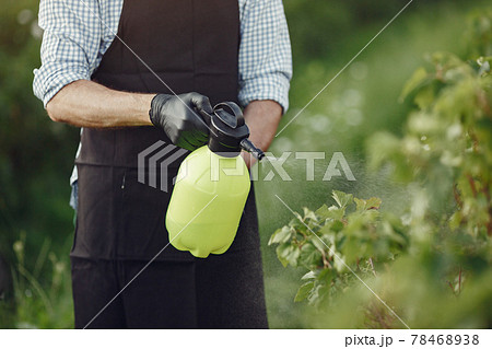 Senior man watering his plants in his garden with sprinkle 78468938