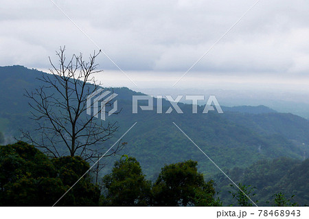 台湾 山脈 山岳 78468943
