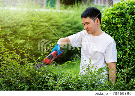 man using  cordless electric hedge cutting and trimming plant in garden at home 78469396