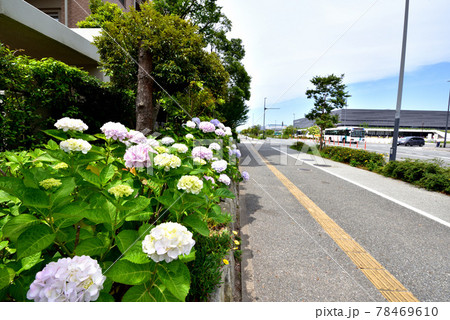 福岡アイランドシティ風景　福岡市総合体育館付近 78469610
