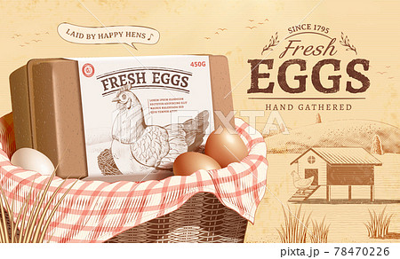 Egg Ad Template In Engraving Styleのイラスト素材 Egg Ad Template In Engraving Styleのイラスト素材
