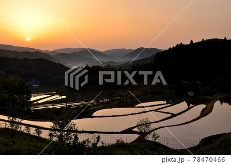 長谷の棚田 78470466