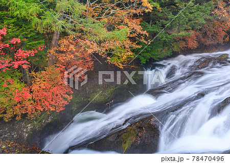 栃木奥日光 竜頭ノ滝の紅葉の写真素材