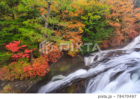 栃木奥日光 竜頭ノ滝の紅葉の写真素材