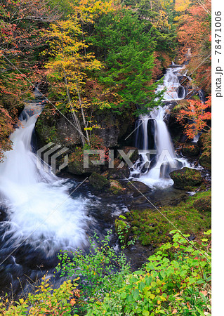 栃木奥日光_竜頭ノ滝の紅葉 栃木奥日光_竜頭ノ滝の紅葉 78471006