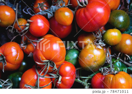 トマト トマト とまと 78471011