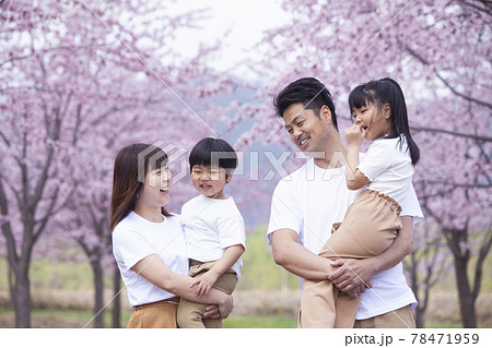 桜の公園でお花見する家族の写真素材 [78471959] - PIXTA