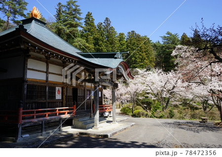 春の遠野 福泉寺本堂 春の遠野 福泉寺本堂 78472356
