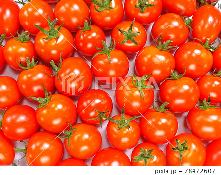 トマト ミニトマト トマト ミニトマト 78472607