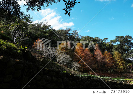 山脈 山岳 ヒルズ 78472910