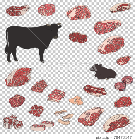 和牛のイラストセット-手描きの線画 和牛のイラストセット-手描きの線画 78473147