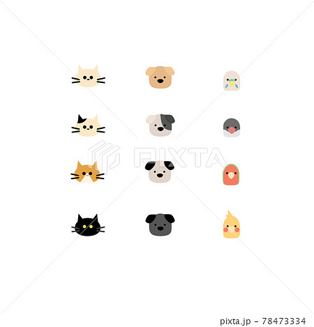 可愛い犬たち猫たち鳥たちイラスト素材のイラスト素材