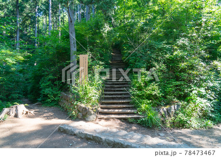 高尾山の山頂直下にある稲荷山ルートの階段 高尾山の山頂直下にある稲荷山ルートの階段 78473467