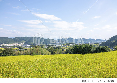 葛城古道　楢原 78473896