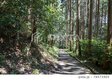 葛城古道 高天彦神社参道 葛城古道 高天彦神社参道 78473904