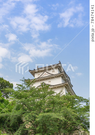 晴天下、初夏の明石城の石垣と櫓 78474141