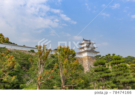 晴天下、初夏の明石城の石垣と櫓 78474166