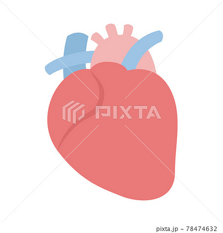 健康的なピンク色の心臓のイラスト のイラスト素材