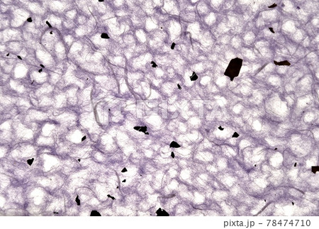 紙 背景 新年 78474710