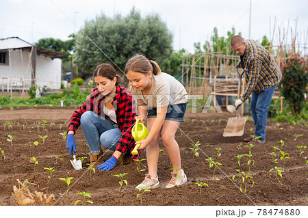 Friendly family working together on backyard garden Friendly family working together on backyard garden 78474880